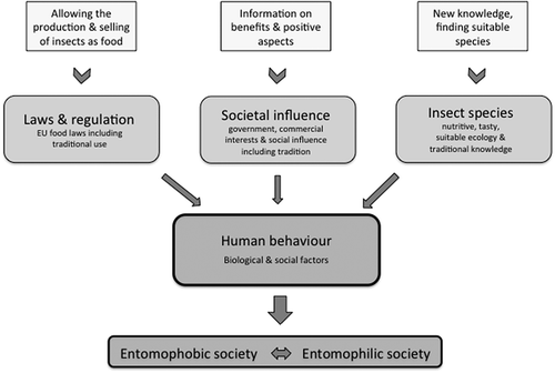 Figure 1. Societal and biological factors influencing the behavior of societies decide the shift from entomophobic to entomophilic. Traditional use of insects is an important factor for the outcome of the change