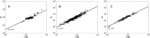 FIG. 12 The number of primary particles in an agglomerate as a function of agglomerate length per primary particle diameter in cases of (a) intact, (b) deposited, and (c) bounced particles. The dashed line represents the fitted data for the length-based fractal dimension. Values ka = 1.17 and α = 1.07 were used in EquationEquation (4) to calculate the number of primary particles.