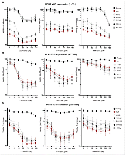 Figure 4. Impact of VUS on IC50 for DNA damaging drugs. LoVo (A-C), HCT116 (C-E), and Vaco481 (F-H) CRC cells were transfected with empty vector (E, black curves) or plasmid expressing wt (red curves) or VUS (gray curves) MSH2 (A-C), MLH1 (D-F), or PMS2 (G-I). 48 hours after transfection cells were treated with vehicle (V), methyl methanesulphonate (MMS), or cisplatin (CDDP) or 5-Flurouracil (5-FU) for 2 h at the concentrations indicated. Cell viability was measured by short-term CellTiter-Blue (CTB) assay (72 hours after drug addition). Data are represented as % viability and are from 3 independent experiments ± SEM. For extended p-values for log dose effect (slope) and log dose slope compared with wt see Table S3 (p-values hihglighted in red are significant).