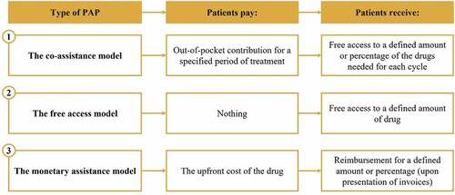 Figure 3. Types of Patient Access Programs in China, according to Jiang et al. (2020). PAP – patient access program.