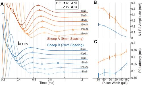 Figure 2 ECAPs, with amplitude and latency differences as a function of pulse width in sheep. (A) ECAP variability in two sheep with stimulus pulse width swept from short (30 μs; darker lines) to long (180 μs; lighter lines) and offset vertically. Stimulation was on E7+/E6− at a constant charge of 75 nC/phase and recording on E2/E1; Sheep A (top; orange) used 9 mm spaced electrodes and Sheep B (bottom; blue) used 7 mm spaced electrodes. Symbols indicate location of P1 (+), N1 (*), P2 (Δ), N2 (○), and P3 (□). (B) The N1-P2 amplitude differences plotted versus pulse width with median and 10th-90th percentile range. (C) ECAP latency differences plotted versus pulse width with median and 10th–90th percentile range.