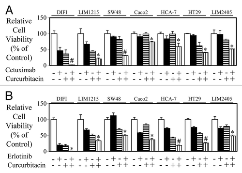 Figure 4. Combined blockade of EGFR and STAT3 further enhances inhibition of cell viability. Wild-type K-Ras expressing colon cancer cells were treated in triplicate with (A) control, cetuximab, curcurbitacin, or a combination of both for 72 h and (B) control, erlotinib, curcurbitacin, or a combination of both for 72 h. Cell viability was determined as outlined above (*P < 0.05; #P < 0.01).