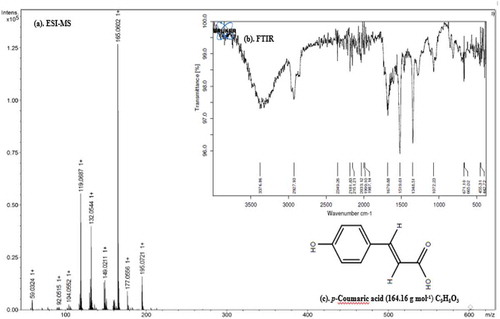 Figure 1. ESI-MS spectra (a), FT-IR spectra (b) and chemical structure of the p-Coumaric acid.