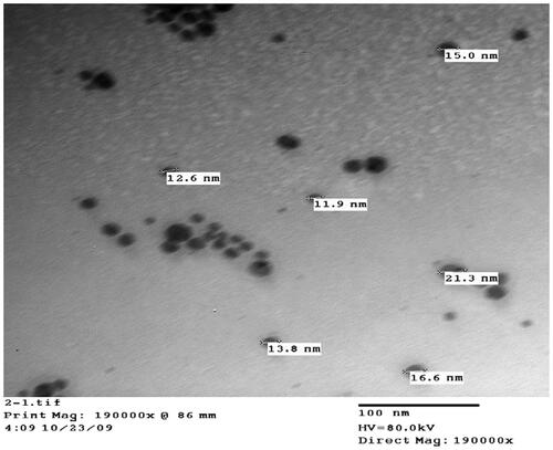 Figure 1. Size and Shape of silver nano particles.