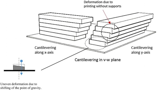 Figure 11. Cantilevering layers of filament in the v,w- and u,w-plane.