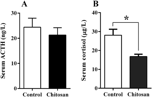 Figure 3. Effect of chitosan inclusion on the concentration of serum ACTH (A) and cortisol (B) of weaned piglets. Values are expressed as the mean ± standard error (n = 12).