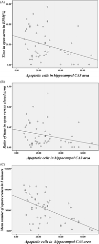 Figure 5. Correlation between apoptotic hippocampal CA3 cells and anxiety-like behaviours. (A) Correlation between the number of apoptotic hippocampal CA3 cells and the percentage of time spent in the open arm in EPM test (r = −0.33, p < 0.05). (B) Correlation between the number of apoptotic hippocampal CA3 cells and the ratio of time in open versus closed arms in EPM test (r = −0.28, p < 0.05). (C) Correlation between the number of apoptotic hippocampal CA3 cells and the mean number of square crossed in 5 min in the open field test (r = −0.54, p < 0.05).