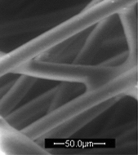 FIG. 4 ESEM image of TTO-coated fiber.