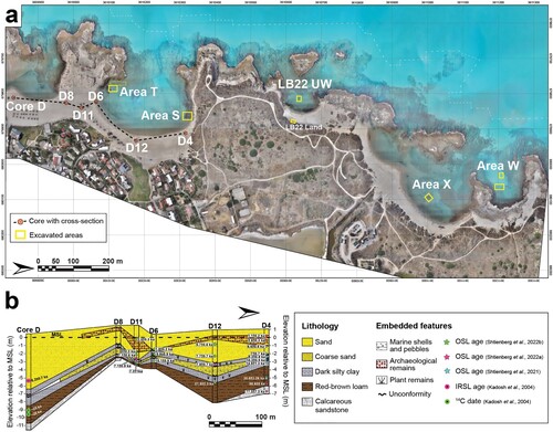 Figure 6. The locations of the cores and diagram of the chrono-stratigraphy of the coast of Dor, including Core D. The OSL dates of the sediments in each core were used to reconstructs coastlines in the Hellenistic and Roman Periods (Figure 7). (Kadosh et al., Citation2004) and Cores D8, D11, D6, D12 and D4 (Shtienberg et al., Citation2021) (prepared by G. Shtienberg, A. Tamberino and M. Runjajić).