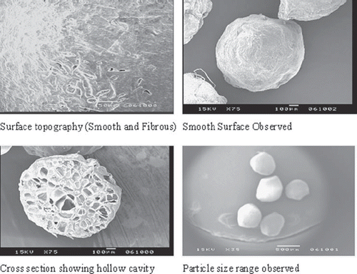 Figure 2. Scanning electron micrographs of floating sodium alginate microspheres of itopride hydrochloride.