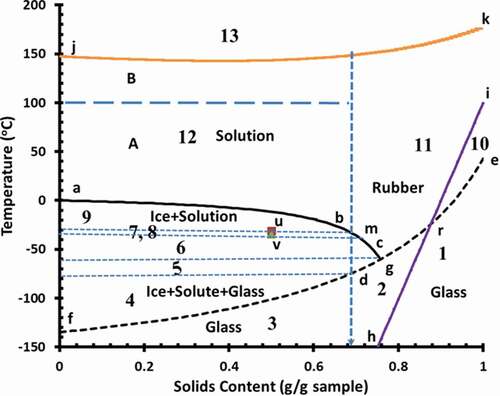 Figure 5. State diagram of broccoli (abc: freezing curve, egf glass transition line, irh: BET-monolayer, kj: solids melting-decomposition line, u: Tm′, experimental ultimate maximal-freeze-concentration melting temperature, v: Tg′′′, experimental ultimate maximal-freeze-concentration glass transition temperature, b: Xs′, conceptual maximal-freeze-concentration solids, d: Tg′, conceptual maximal-freeze-concentration glass transition temperature, m: Xs′′′, conceptual maximal-freeze-concentration solids, g: Tg′′, hypothetical maximal-freeze-concentration glass transition temperature, and 1–13: indicates the micro-regions 1–13)