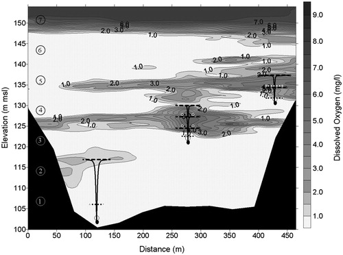Figure 3. Initial oxygen input observed in Casitas Reservoir following 24 h of operation, showing lateral distribution from diffuser operation. Numbered circles represent plant withdrawal elevations, solid lines show modeled plumes, and dashed lines show corresonding elevation of maximum plume rise (EMPR) and elevation of equal density (EED) for each plume.