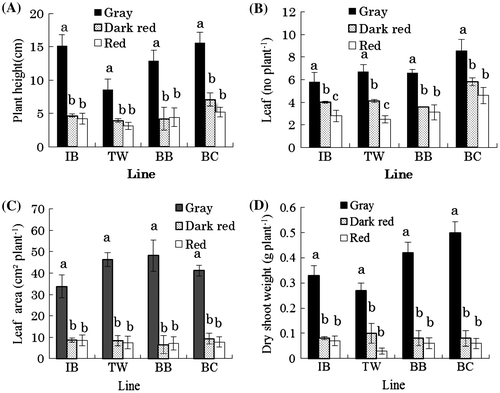 Figure 2. Plant height (A), leaf number (B), leaf area (C), and dry shoot weight (D) of 35-day-old plants of amaranth lines grown in different soils. Bars with the same letter are not significantly different within each line at the 5% level, as determined by LSD test.