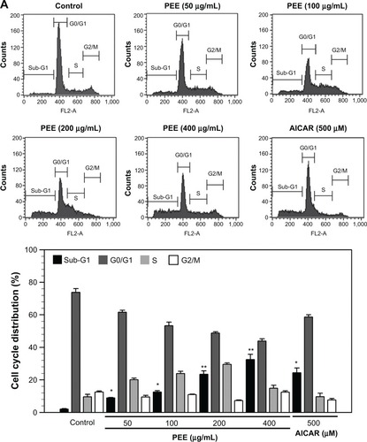 Figure 2 PEE-induced apoptosis of 143B cells. Cells were treated with 100, 200, and 400 μg/mL PEE for 24 hours and then stained with PI for cell cycle analysis (A) or analyzed with DAPI staining and TUNEL (B).