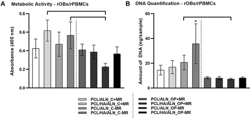 Figure 4 Metabolic activity of rOBs/rPBMCs cells (A). DNA quantification of rOBs/rPBMCs cells (B). Statistical significance is denoted above the columns (p < 0.05), * means the statistically highest value.