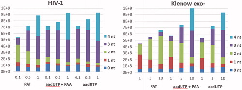 Figure 4. Primer extension in the presence of PAT and 5-aminoallyl-2′-deoxyUTP (aadUTP) with or without the equimolar amounts of PAA. Polymerases used in the primer extension reactions are indicated above the graph. PAT, aadUTP and PAA concentrations in µM are given below the graph. Reaction time was 5 min. For calculation of reaction outcome, a number of incorporated nucleotides is taken into account and is represented by the total height of the bar. The internal fractions of the bar represent a distribution of the respective products and are indicated in graph legend.