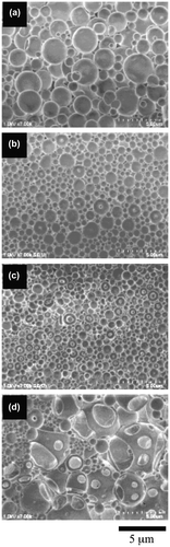 Figure 3. FE-SEM images of the giant vesicles obtained by the diblock copolymers with different SpMA contents; (a) BC-11, (b) BC-21, (c) BC-31 and (d) BC-41.