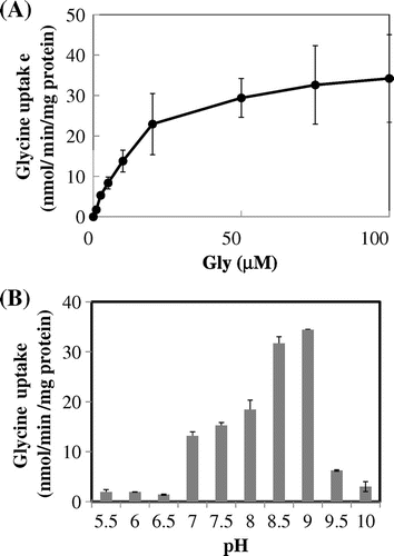 Fig. 3. Kinetics of glycine uptake by ApAgcS1.Notes: (A) Saturation curve. (B) Effects of pH. Glycine uptake by ApAgcS1 in JW4166 cells was assayed in the presence of 0.3 M NaCl. The pH for saturation curve was 7.4. Duration of uptake was 1 min. Each value represents the average of three independent measurements and error bars represent standard deviations.