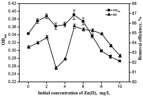 Figure 2. The effect of Zn(II) concentration on the growth of strains and the degradation of m-dichlorobenzene