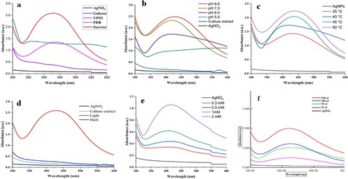 Figure 2. Optimization of silver NPs synthesis by using 'one variable at a time' approach: (a) UV-Vis spectra of SNPs synthesized by growing fungus on different culture media like sucrose, YPSS, PDB, glucose and control of AgNO3. (b) Effect of medium pH on the silver NPs synthesis by culture filtrate of T. lanuginosus. (c) Effect of reaction temperature on the synthesis of AgNPs. (d) Effect of light and dark conditions on mycosynthesis of AgNPs. (e) Effect of different concentrations of AgNO3 on AgNPs synthesis.