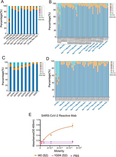 Figure 3. BCR Clonal Expansion Following SARS-CoV-2 Infection and Vaccination. (A) The Bar plot shows clonal expansion distribution in SARS-CoV-2 infected, healthy, vaccinated1st.15d healthy, vaccinated1st.28d healthy, vaccinated2nd.28d healthy, vaccinated3rd.28d healthy, vaccinated1st.0d recovered, vaccinated1st.15d recovered, vaccinated1st.28d recovered and unvaccinated recovered groups. The different colours represent the clone size. (B) The Bar plot shows the clonal expansion distribution in each sample. (C) The Bar plot shows clonal expansion distribution in different immunoglobulin isotypes, including IgM, IgA1, IgA2, IgG1, IgG2, IgG3, IgG4 and IgD. (D) The Bar plot shows the clonal expansion distribution of different immunoglobulin isotypes in different groups. (E) Binding of top1 dominant antibody to SARS-CoV-2 S2 antigen by ELISA.