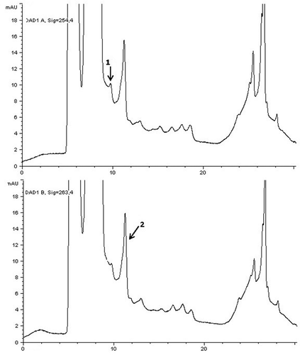 Figure 1. HPLC chromatograms of IQ and MeIQx in the beef meatball sample cooked by charcoal-barbecue. Peak identification: (1) IQ and (2) MeIQx (with diode array detector at 254 and 263 nm).