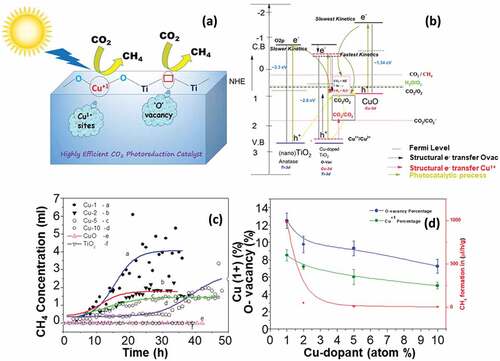 Figure 9. (a) Scheme highlighting the role of Cu+1 sites and oxygen vacancies in CO2 photoreduction; (b) Schematic for the photocatalytic and the structural adsorption processes occurring with TiO2 anatase, Cu-doped TiO2 (with presence of oxidation state Cu1+) and CuO; (c) Plot for the CH4 concentration with respect to the irradiation time for a) Cu-1; b) Cu-2; c) Cu-5; d) Cu-10; e) CuO f) TiO2 nano; (d) Photocatalytic methane production as a function of Cu1+ sites (%) and O-vacancy sites (%) in Cu-doped TiO2 samples (Reprinted with permission from Ref [Citation69]. Copyrights 2021 the journal of physical chemistry C).