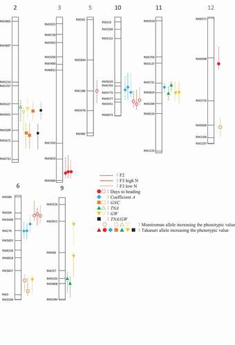 Figure 4. Chromosomal locations of quantitative trait loci (QTLs) for days to heading, the coefficient A value, grain N concentration (GNC), total N in aboveground parts (TNA), grain dry weight (GW), and TNA/GW. Chromosome numbers are indicated above each linkage map. Symbols show peaks of logarithm of odds (LOD) and lines intervals of LOD > threshold values.