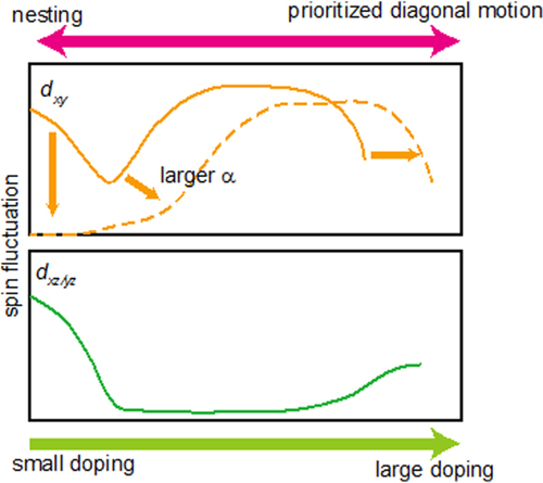 Figure 12. Schematic figure of the spin fluctuation contribution to superconductivity. Reprinted with permission from [Citation169]. Copyright 2014 by the American Physical Society.