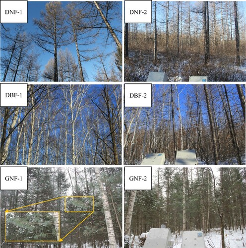 Figure 5. Photos of radiometric measurements corresponding to different forest types.