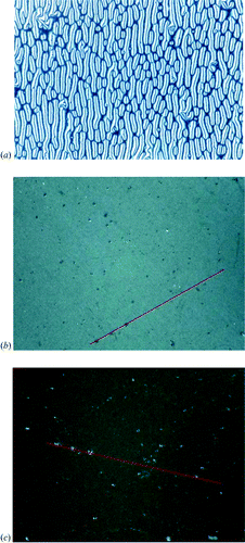 Figure 4 Optical textures of spin‐coated films of the star‐shaped oligomesogen 1 on polyimide alignment layers at room temperature after annealing within the mesophase; a) Polyimide SE‐3140. The disclination lines run predominantly parallel to the rubbing direction of the orientation layer; b) Polyimide ZLI‐2650; c) after rotation of the sample in b) by 45° arround the optical axis.