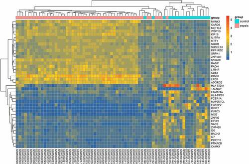 Figure 5. Heatmap of differentially expressed genes (DEGs) in GSE13904. The heatmap shows the expression of the top 20 upregulated and downregulated genes. The X-axis and Y-axis indicate samples and genes, respectively. The color gradation represents the expression of genes – from dark blue (low expression) to red (high expression). The two groups are annotated using two colors: pink for patients with sepsis and light blue for healthy controls. To clarify the heatmap, gene expression has been transformed using the log2 (1+ expression) method