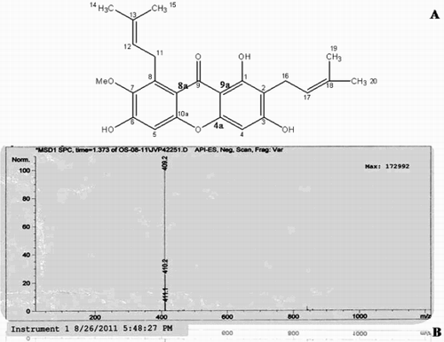 Figure 1.  Bioassay guided column chromatography of the active fraction from pericarp of Garcinia mangostana L. A) Chemical structure of α-mangostin. B) Mass spectrum of α-mangostin.