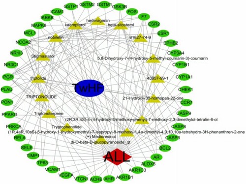 Figure 3. Ingredients-target-disease network of TwHF in the treatment of ALL. The green nodes represent the intersection target gene, the yellow nodes represent the active components. The edges represent the interactions between them.