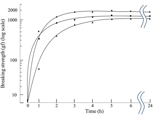 Figure 1. Approximate breaking strength of FA-grade blue grenadier. Display full size 30°C Display full size 25°C Display full size 20°CFA-grade blue grenadier surimi samples were heated at 20°C, 25°C, and 30°C. The heat-induced gel samples were collected at 1, 2, 3, 4, 5, 6, and 24 h, and trend lines were fitted to the set of data points representing the means (n = 3).Figura 1. Resistencia de ruptura aproximada de merluza de cola de calidad FA.Display full size 30°C Display full size 25°C Display full size 20°CSe calentaron muestras de surimi elaboradas con merluza de cola de calidad FA a temperaturas de 20, 25 y 30°C. Las muestras de gel inducidas por el calor fueron recogidas a las 1, 2, 3, 4, 5, 6 y 24 h, y las líneas de tendencia fueron ajustadas al conjunto de puntos de datos que representan las medias (n = 3).