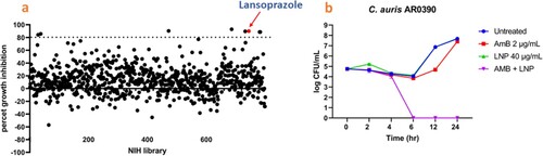 Figure 1. A screen of 727 FDA-approved drugs identified lansoprazole (LNP) as a potent potentiator of the antifungal activity of amphotericin B (AmB) against C. auris. a) An NIH drug collection library containing 727 drugs was screened at 16 µM in RPMI medium at 35 °C for 24 hr in the presence of 0.125×MIC of AmB (0.25 µg/mL). Growth of C. auris AR0390 was detected by measuring the optical density (OD600). The dotted line indicates 80% growth inhibition of C. auris. b) A time-kill assay of AmB at 2 µg/mL (1×MIC), LNP at 40 µg/mL, or a combination of the two drugs in RPMI media against C. auris AR0390 at 35°C for 24 hr. Time-kill assay results are shown as the mean values of CFU ± SD obtained from two independent experiments.