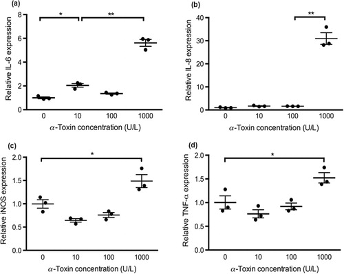 Figure 4. Cytokine gene expression in response to different dosages of α-toxin in primary chicken intestinal cells. The cells were stimulated with commercially available α-toxin at 10, 100 and 1000 U/L for 3 h. Relative quantitation of gene expression was measured by quantitative RT-PCR in three samples represented by each dot. The horizontal bars represent means and SE. *P < 0.05; **P < 0.01. IL, interleukin; iNOS, inducible nitric oxide synthase; TNF-α, tumour necrosis factor α.