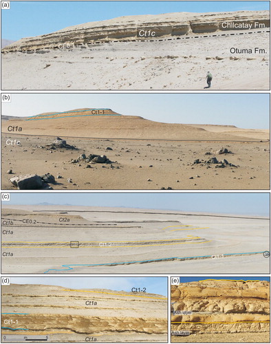 Figure 3. (a) Panoramic view of the angular unconformity (CE0.1) at the base of the Chilcatay Formation (14°38′26″S–75°38′18″W); (b) oblique view of the locality of Zamaca (14°38′3″S–75°38′6″W). Note the presence of outsize boulders protruding above the top of the conglomerate bed into the overlying sandstones; (c) eastward panoramic view of the upper portion of Ct1 (14°37′33″S–75°38′7″W), with an encircled car for scale. Black box indicates position of Figure 3(e); (d) close-up view of Ct1-1 (the two blue lines mark its base and top) sandwiched between finer-grained offshore siltstones (14°37′39″S–75°38′42″W). The basal contact is sharp, extensively scoured and highly irregular; (e) close-up view of the Ct1-2 Marker Unit (the two yellow lines mark its base and top). The association of two different ash layers (a white one and a dark grey one) below and within the Ct1-2 marker bed has been confirmed at different localities by petrographic features.
