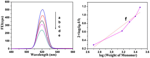 Figure 5 Fluorescence emission spectrum of PCL/Fe3O4–AR nanocomposites synthesized at [M] of a 0.50 g, b 1.5 g, c 2.0 g, d 2.5 g, e 3.0 g and f plot of log(weight of monomer) vs. log[I0−I/I]