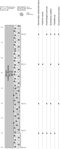Figure 10. Distribution of larger benthic foraminifera (LBF) in the Entronque de Herradura section, western Cuba.