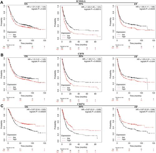 Figure 7 The prognostic value of LCOSLG/CD70/CD274 in STAD. (A) STAD patients with high mRNA level of ICOSLG had a worse OS, PF and PPS. (B) STAD patients with high mRNA level of CD70 had a worse OS, PF and PPS. (C) STAD patients with low mRNA level of CD274 had a worse OS, PF and PPS.