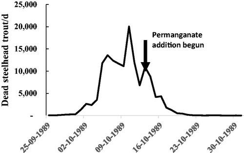 Figure 4. Time course of the autumn 1989 steelhead trout fish kills. Most deaths occurred in 18 d starting 1 October. Fearing a repeat of the 1987 deaths, all the young Chinook salmon had been planted by 25 Sep 1989. Permanganate addition to oxidize H2S was begun on 13 Oct. Based on Miyamoto (Citation1989).