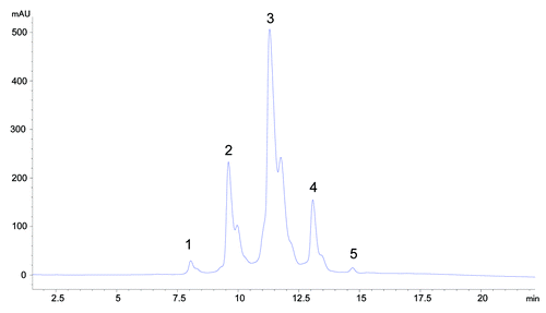Figure 2. Analysis of mAb-1 by HIC showing atypical heterogeneity (peaks 1–5).