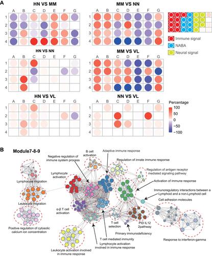 Figure 5 Modular transcriptional repertoire analyses. (A) Modules containing transcripts with increased expression are represented in red, while those with decreased expression are represented in blue. (B) Modules B3, B4 and C1 were involved in immune response.