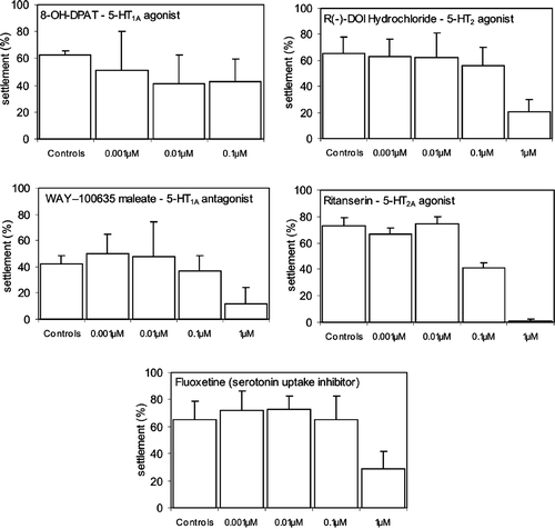 Figure 4 Effects of different concentrations of serotonin receptor agonists, antagonists and of the serotonin uptake inhibitor on the settlement ofB. improvisus newly hatched (day 0) cyprids. The bars represent mean settlement (%) observed 6 days after the beginning of the experiment±SD. Concentrations in which settlement was lower than 1% are not presented in the figure but listed in Table III. *P⩽0.01; **P⩽0.001; ***P⩽0.0001.