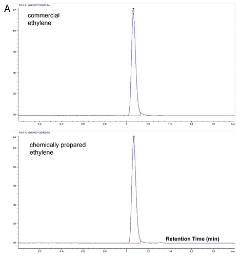 Figure 1A Quality of ethylene prepared from ethephon decomposition and ethanol dehydration. (A) Ethylene from commercial source and ethephon decomposition has identical GC chromatogram.