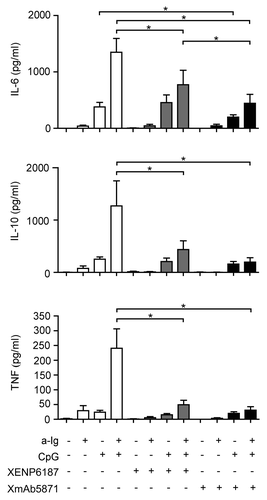 Figure 4. XmAb5871 inhibits BCR and TLR9-induced IL-6, IL-10 and TNF production by B cells. B cells cultured in 96-well plates were activated by 2.5 μg/ml anti-Ig or 1 μg/ml CpG ODN in the presence of XmAb5871 or the control antibody XENP6187. IL-6, IL-10 and TNF secreted from the culture supernatants were measured after 48 h using the Flow Cytomix bead array. Data represent the mean ± SD of four independent experiments. XmAb5871 significantly inhibits IL-6 production induced by anti-Ig and CpG, as compared with XENP6187 treated cells. *: P < 0.05.