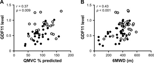 Figure 3 Correlations between the levels of GDF11 and muscle strength and exercise capacity.