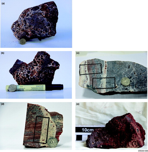 Figure 4. Images of the Mount Gee Sinter geochronological samples (10c or $2 coin for scale or 10 cm scale bar): (a) R2065343; (b) R2065345; (c) R2138303; (d) R2138311; (e) R2413921.