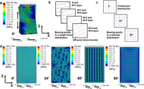 Figure 13. Numerical simulations on compressive process of stacking structures with various interlayer rotation angles. (a) The predicted stress distribution contour at the θ of 6°; (b) The distribution feature of the bearing points in the adjacent several layers for the structure with 6°; (c) The distribution feature of the bearing points for different rotation angles; (d) The predicted stress distribution contours at different rotation angles.